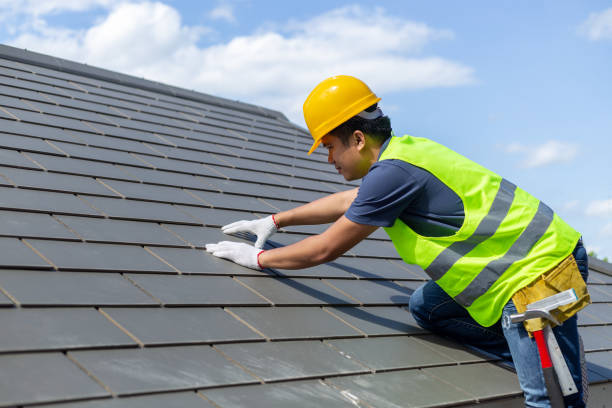 Roof Gutter Cleaning in Raven, VA
