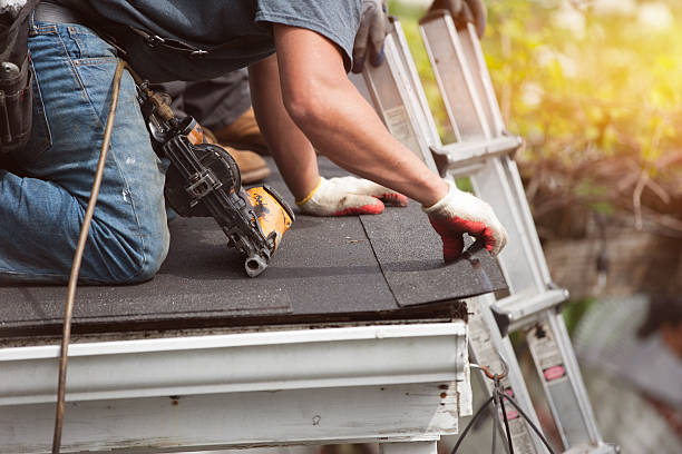 Best Roof Gutter Cleaning  in Raven, VA